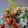 abdo_s_abdalla