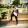 Abdalla69983662