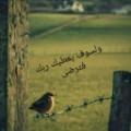 fathou31