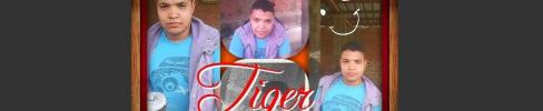 sayedtiger